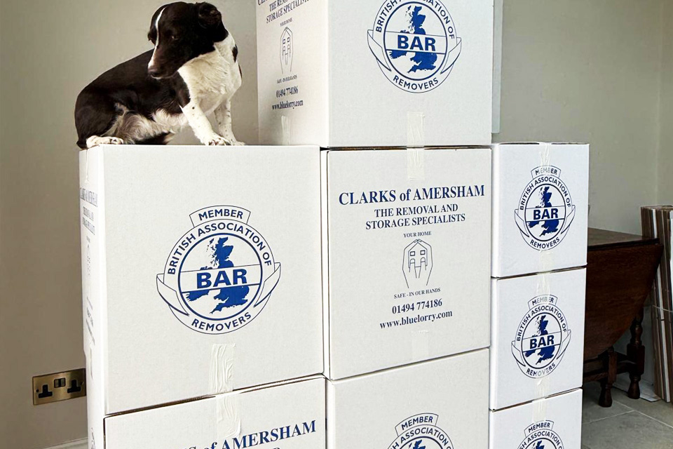 How to Pack Your House for a Move (UK Guide)